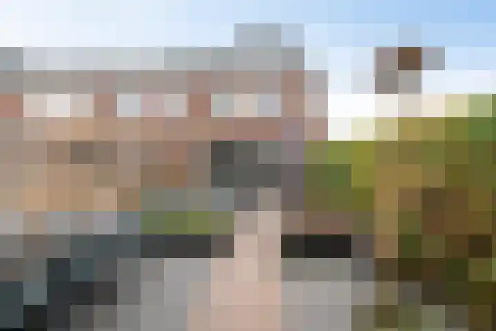 Honderdspint 14 Haren Gn thumbnail 21