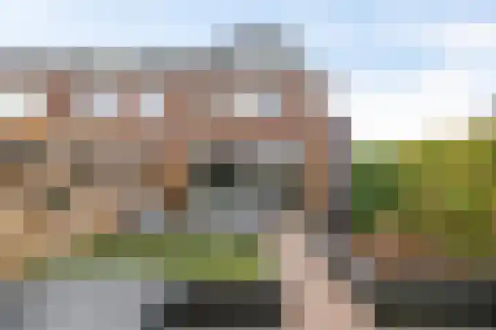 Honderdspint 14 Haren Gn thumbnail 22