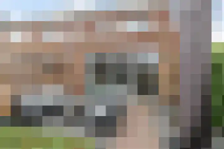 Honderdspint 14 Haren Gn thumbnail 23