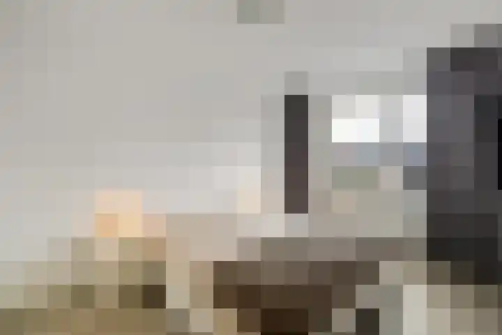 Honderdspint 14 Haren Gn thumbnail 25