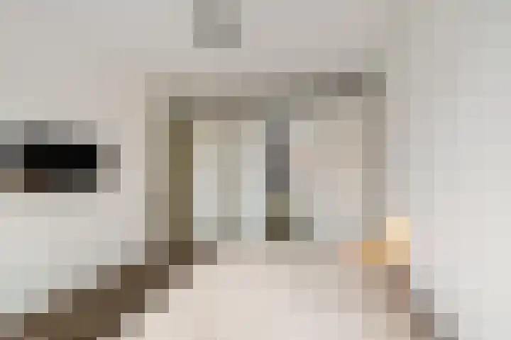 Honderdspint 14 Haren Gn thumbnail 26