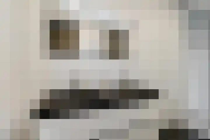 Honderdspint 14 Haren Gn thumbnail 35