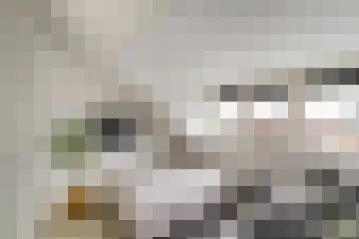 Honderdspint 14 Haren Gn thumbnail 37