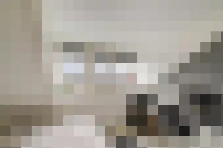 Honderdspint 14 Haren Gn thumbnail 38
