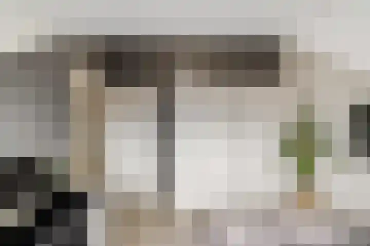 Honderdspint 14 Haren Gn thumbnail 39