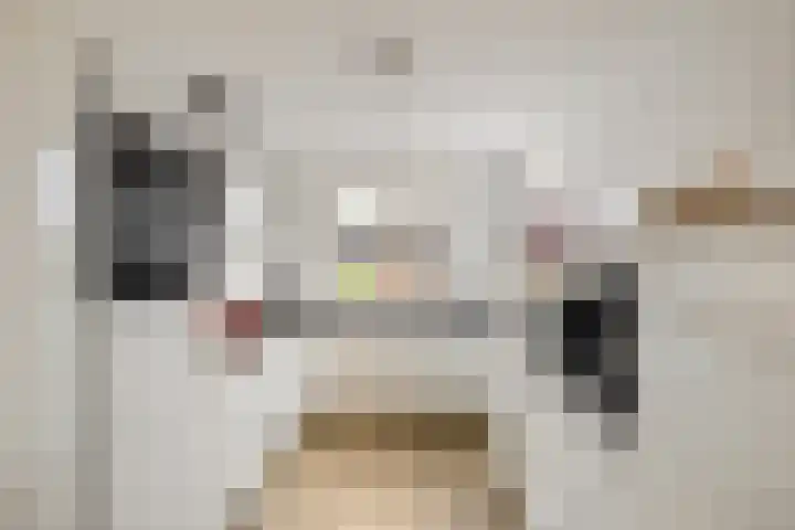 Honderdspint 14 Haren Gn thumbnail 4