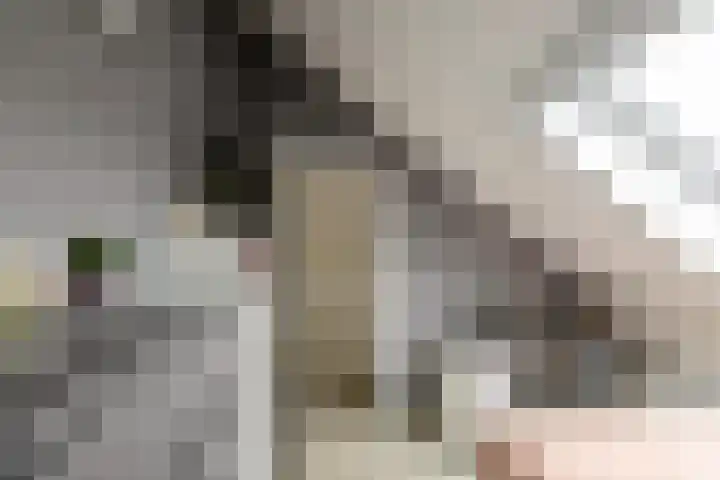 Honderdspint 14 Haren Gn thumbnail 41