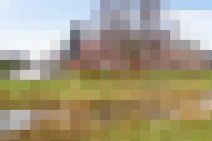 Honderdspint 14 Haren Gn thumbnail 43
