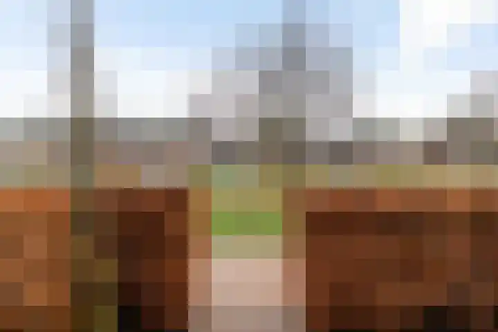 Honderdspint 14 Haren Gn thumbnail 44