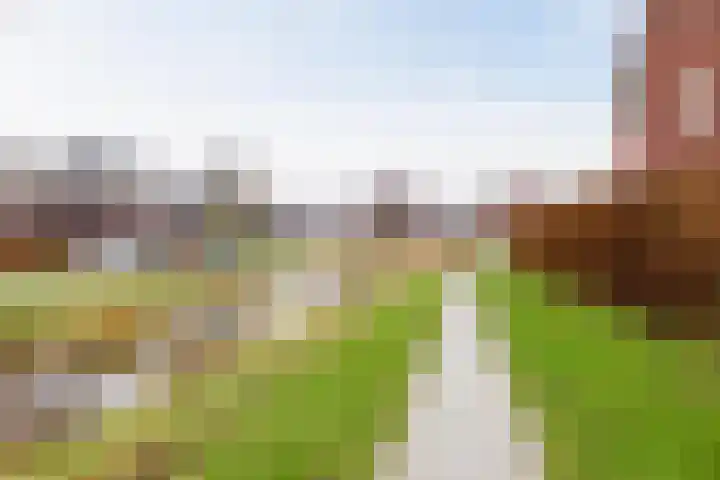 Honderdspint 14 Haren Gn thumbnail 45