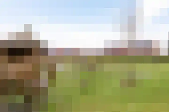 Honderdspint 14 Haren Gn thumbnail 46