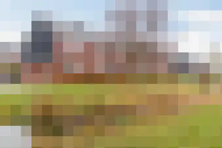 Honderdspint 14 Haren Gn thumbnail 6