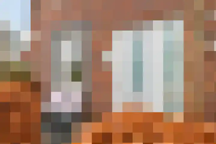Honderdspint 14 Haren Gn thumbnail 7