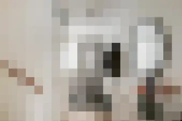 Honderdspint 14 Haren Gn thumbnail 8