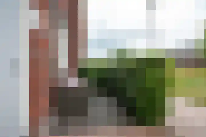 Honderdspint 16 Haren Gn thumbnail 10