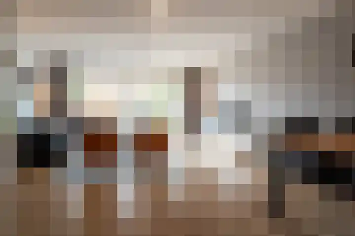 Honderdspint 16 Haren Gn thumbnail 13