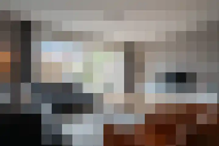 Honderdspint 16 Haren Gn thumbnail 14