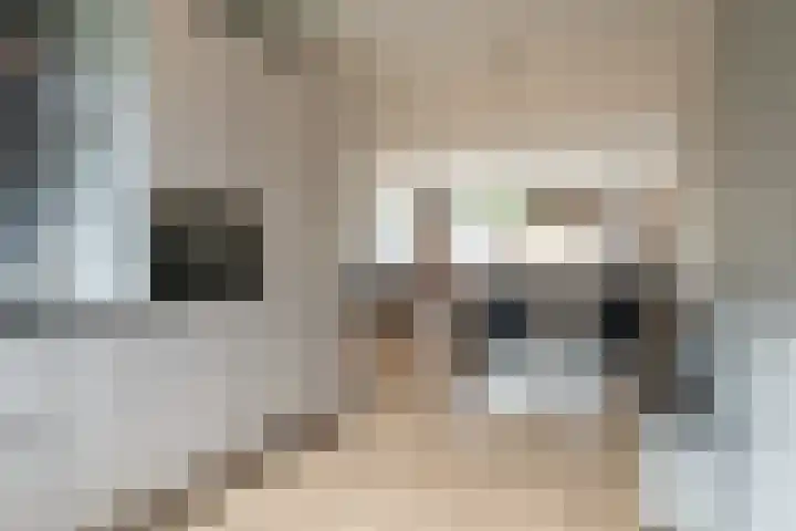 Honderdspint 16 Haren Gn thumbnail 20
