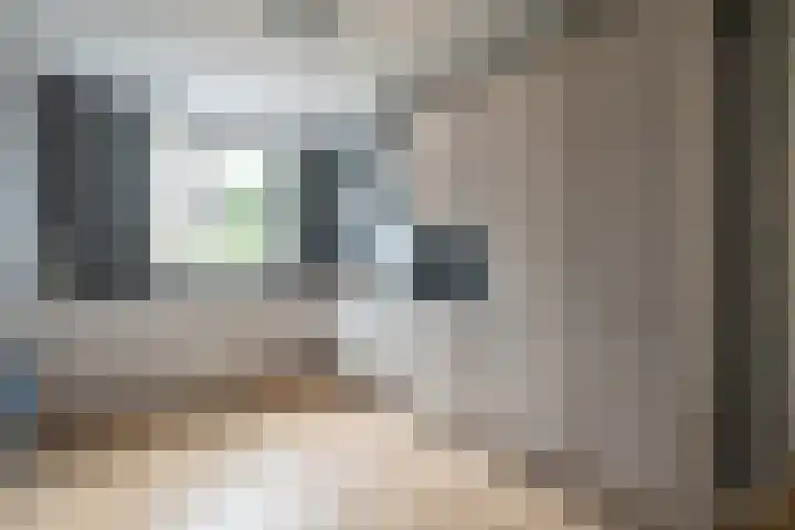 Honderdspint 16 Haren Gn thumbnail 21