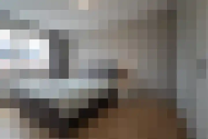 Honderdspint 16 Haren Gn thumbnail 25