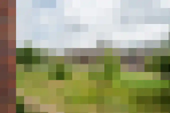 Honderdspint 16 Haren Gn thumbnail 33