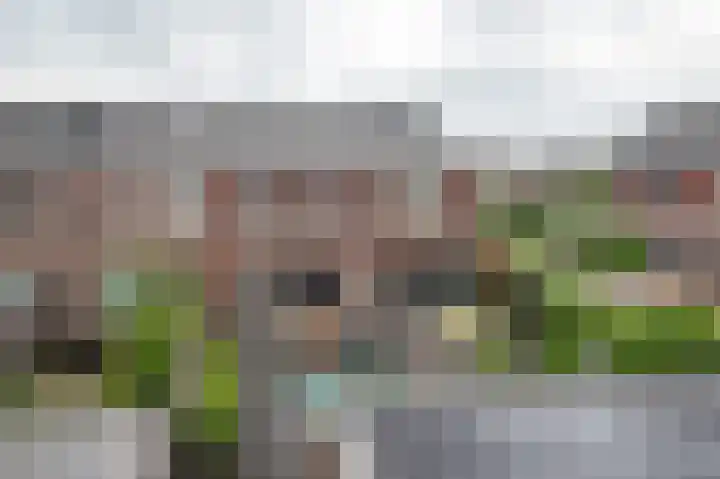 Honderdspint 16 Haren Gn thumbnail 34