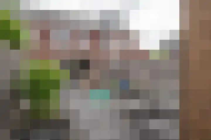 Honderdspint 16 Haren Gn thumbnail 36