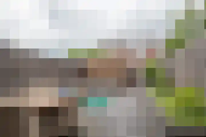 Honderdspint 16 Haren Gn thumbnail 37
