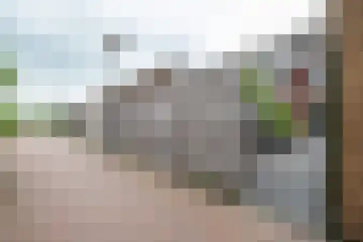 Honderdspint 16 Haren Gn thumbnail 39