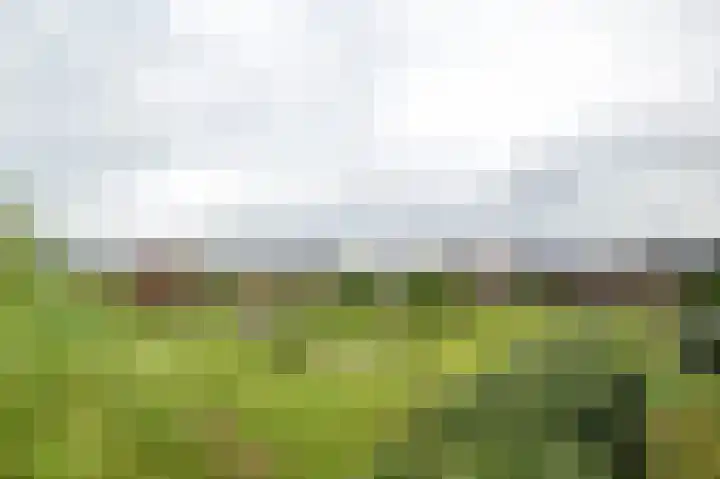 Honderdspint 16 Haren Gn thumbnail 40