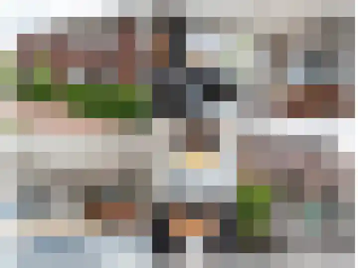 Honderdspint 16 Haren Gn thumbnail 41