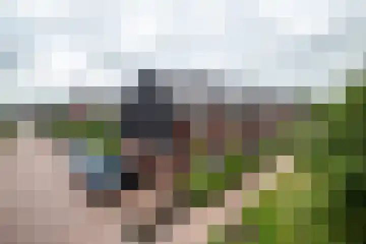 Honderdspint 16 Haren Gn thumbnail 46