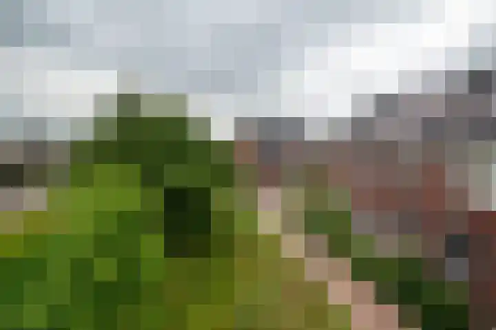 Honderdspint 16 Haren Gn thumbnail 5