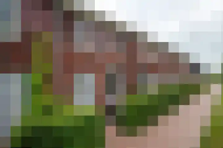 Honderdspint 16 Haren Gn thumbnail 6