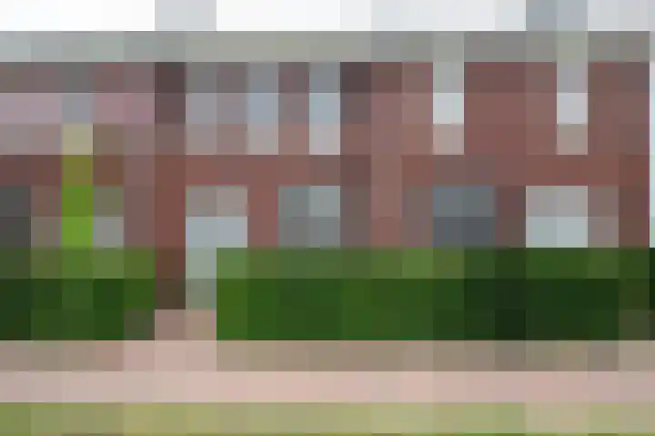 Honderdspint 16 Haren Gn thumbnail 7