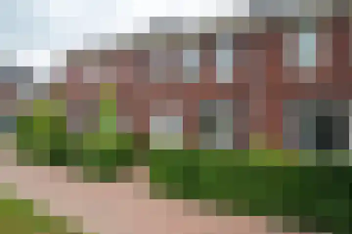 Honderdspint 16 Haren Gn thumbnail 8