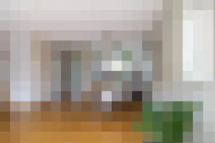 Honderdspint 23 Haren Gn thumbnail 11