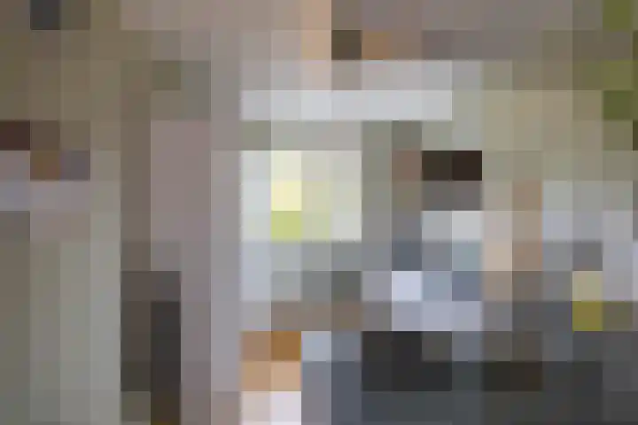 Honderdspint 23 Haren Gn thumbnail 13