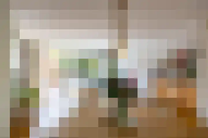 Honderdspint 23 Haren Gn thumbnail 17