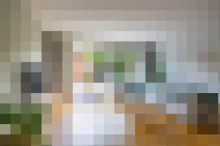 Honderdspint 23 Haren Gn thumbnail 18