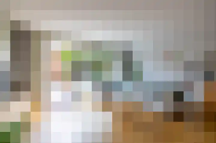 Honderdspint 23 Haren Gn thumbnail 21