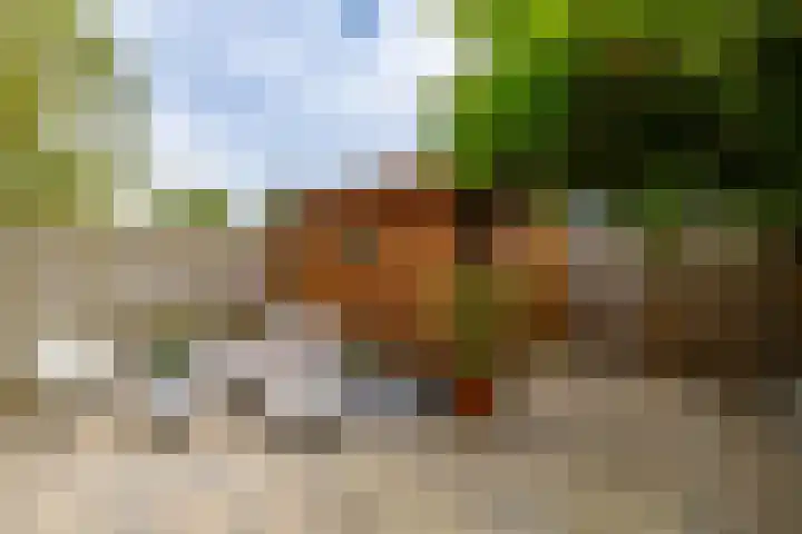 Honderdspint 23 Haren Gn thumbnail 23
