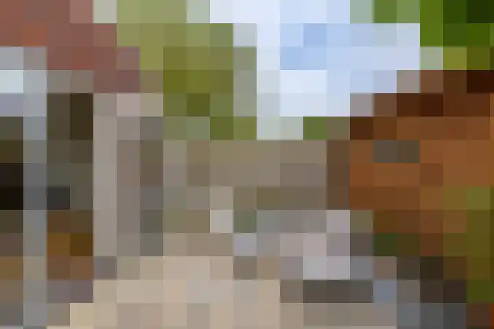 Honderdspint 23 Haren Gn thumbnail 24