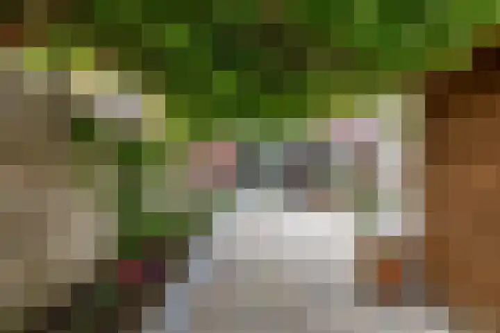 Honderdspint 23 Haren Gn thumbnail 26