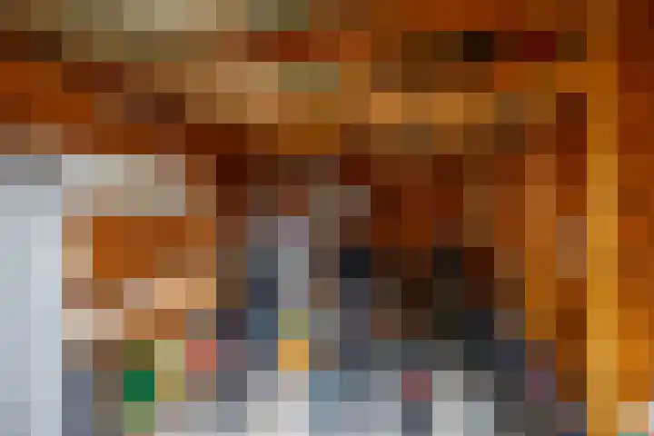 Honderdspint 23 Haren Gn thumbnail 27
