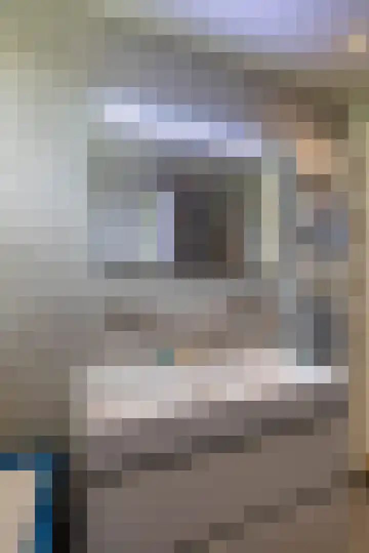 Honderdspint 23 Haren Gn thumbnail 32
