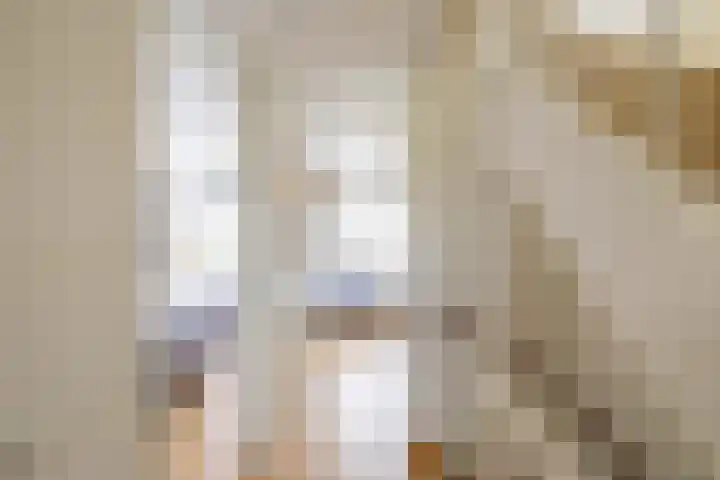 Honderdspint 23 Haren Gn thumbnail 34
