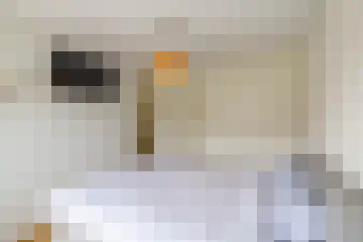 Honderdspint 23 Haren Gn thumbnail 36