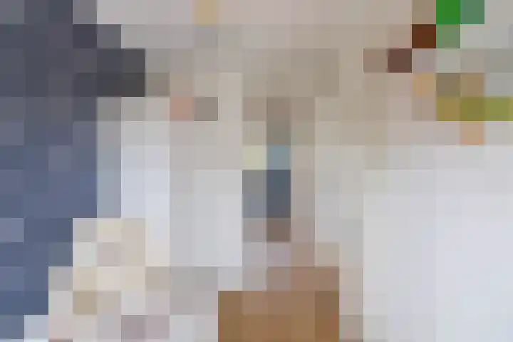 Honderdspint 23 Haren Gn thumbnail 38