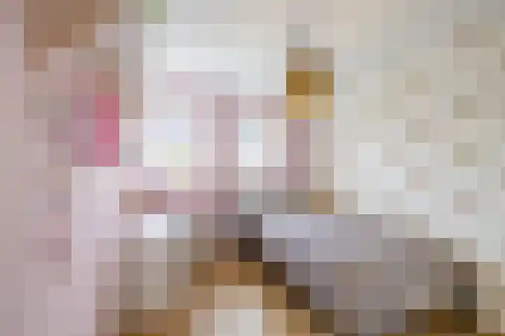 Honderdspint 23 Haren Gn thumbnail 39